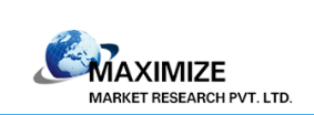Maximize Market Research