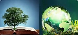 Environmental Research Papers