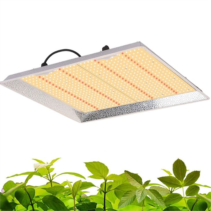 led grow lights