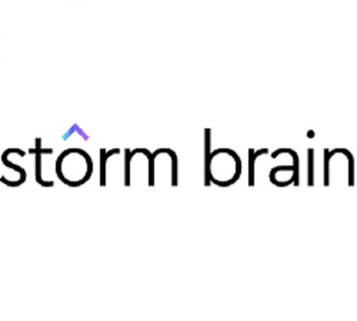 storm brain internet marketing company