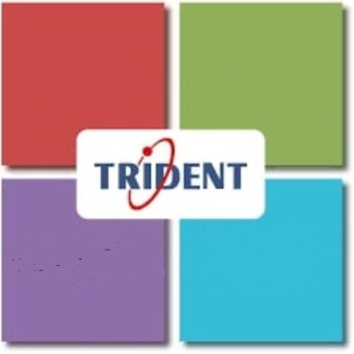 trident microsoft dynamics 365 gold partner