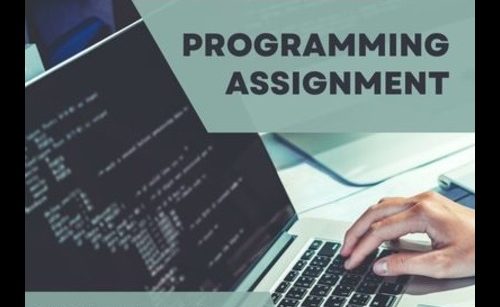 programming assignment sleuth assessment