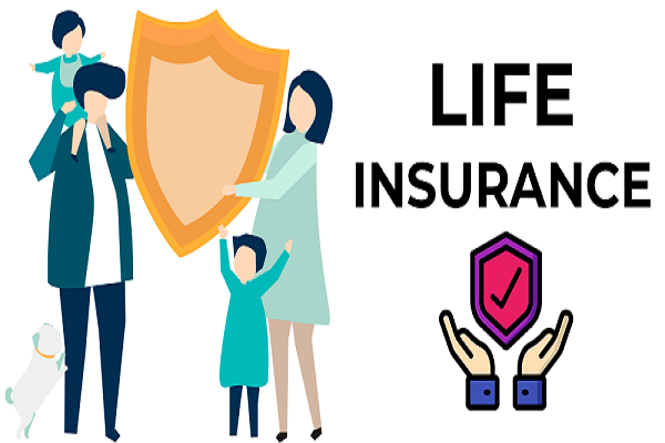 India Life Insurance Market