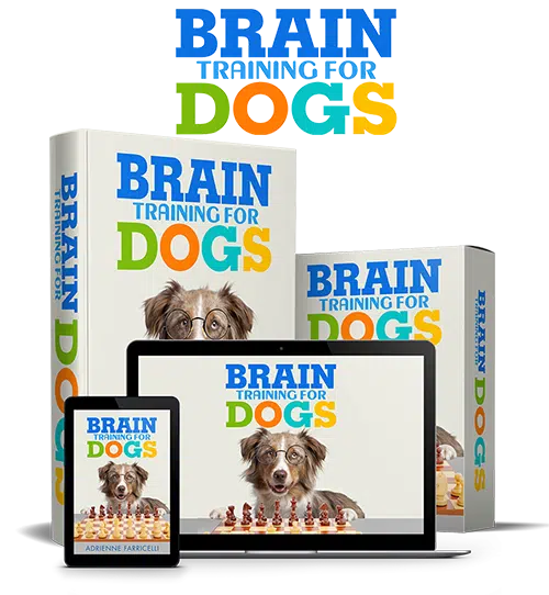 Brain Training For Dogs