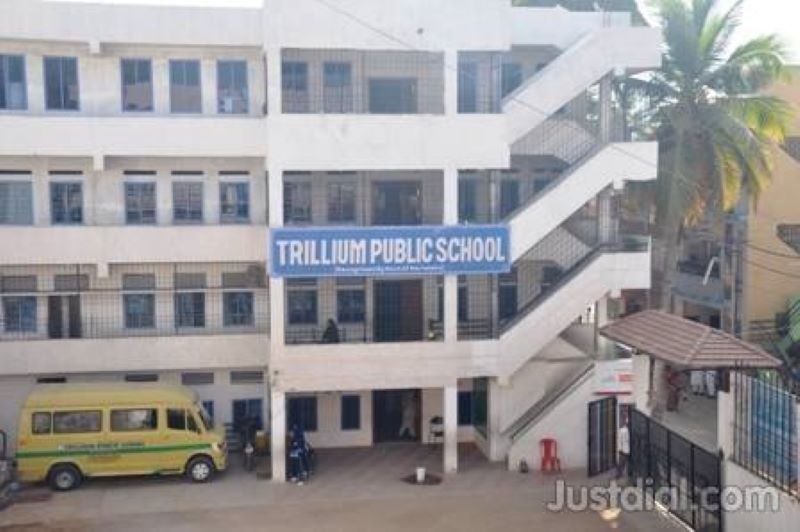 Trillium Institutions