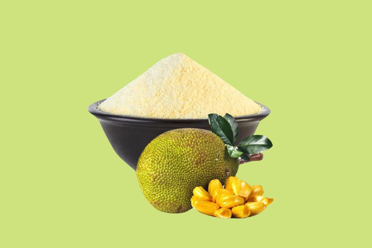 Jackfruit Powder