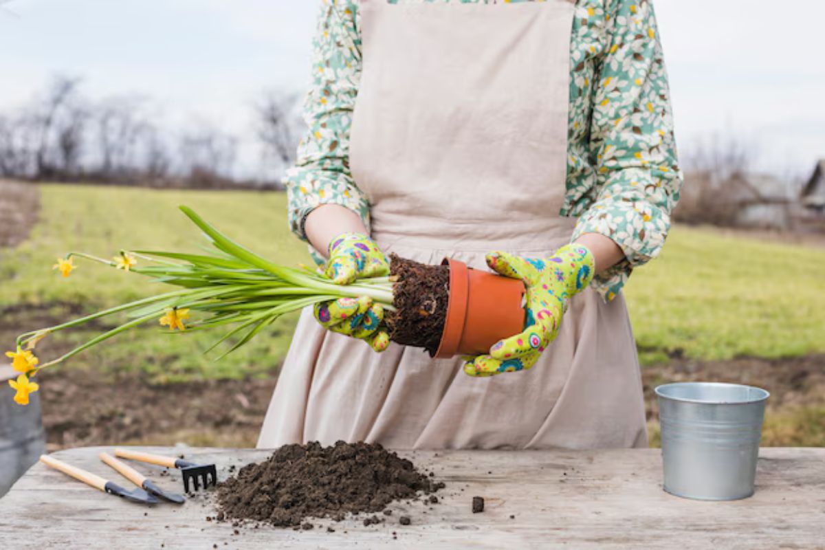 Turf Fertilizer Market