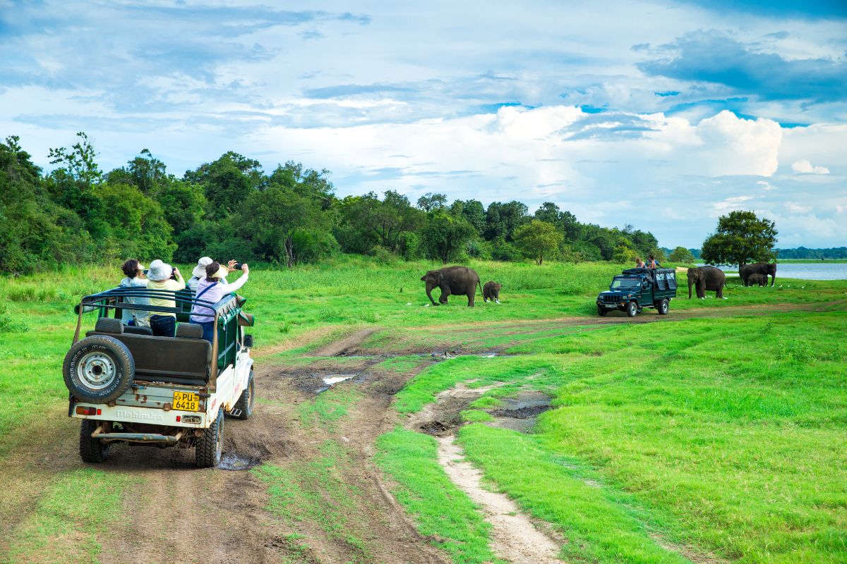 Namibian Safari Corporation