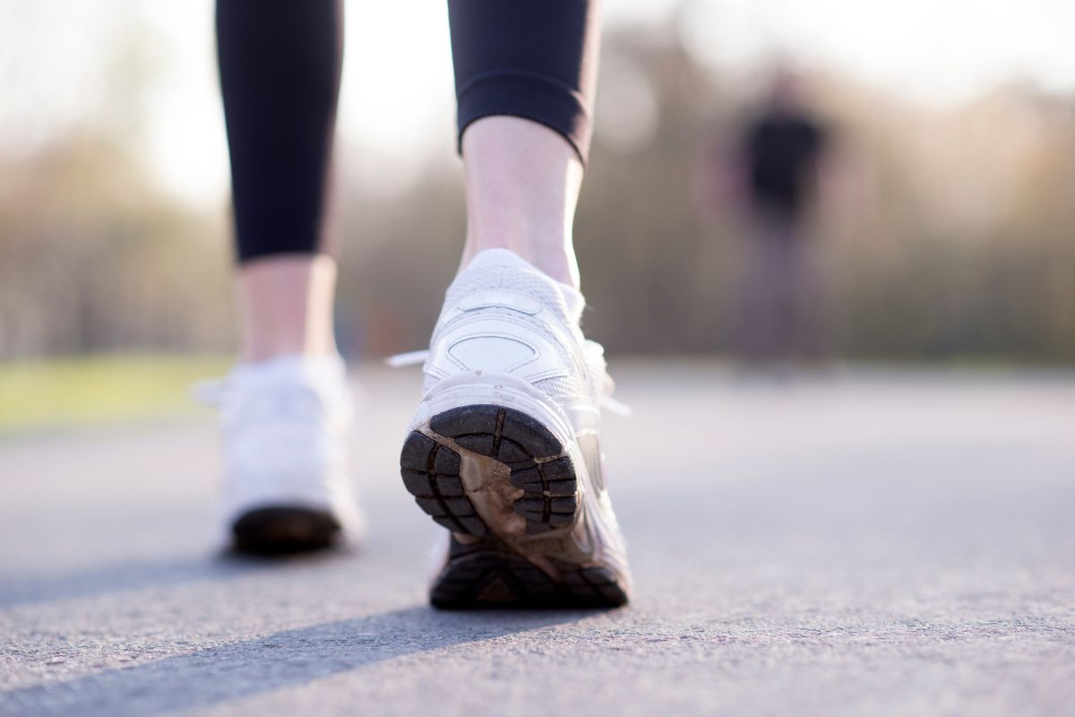 Skechers Sports Shoes