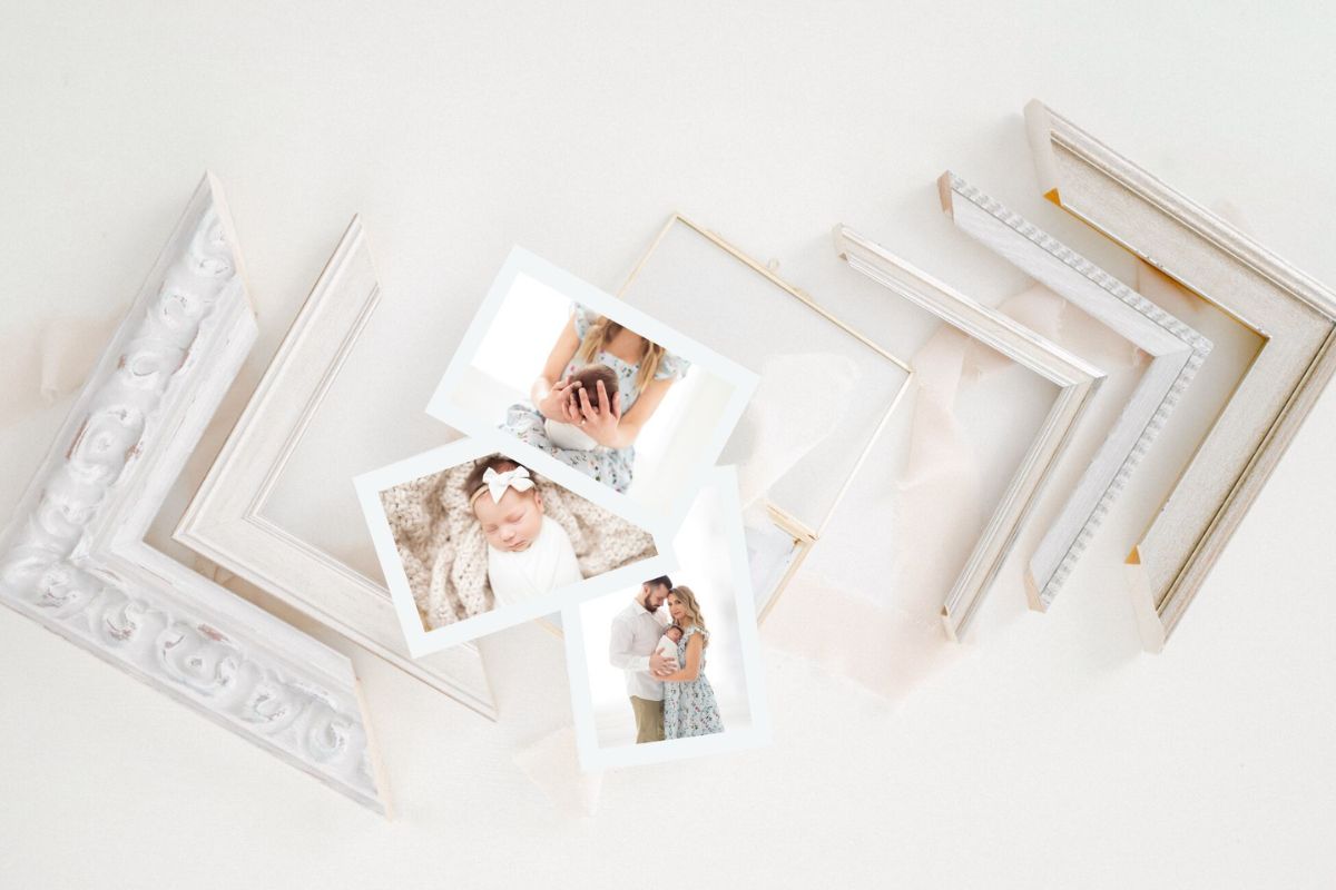 Petite Magnolia Photography