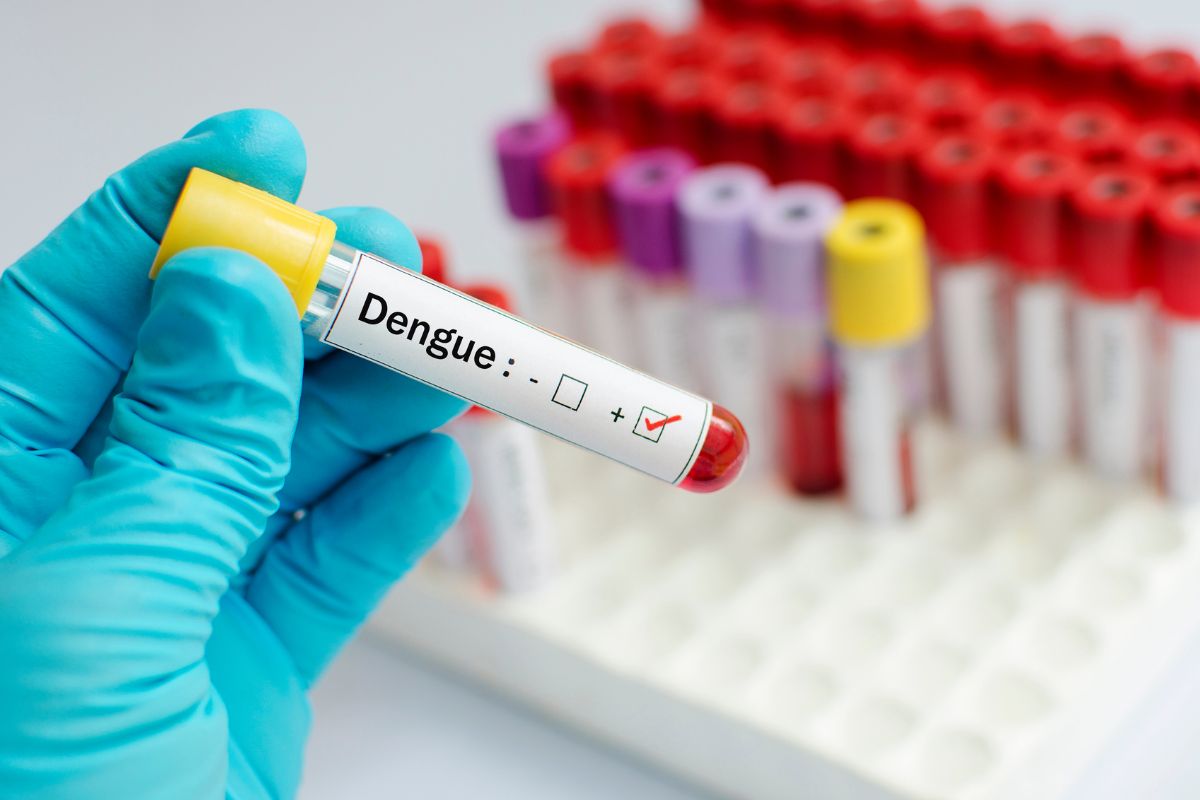 Dengue Testing Market