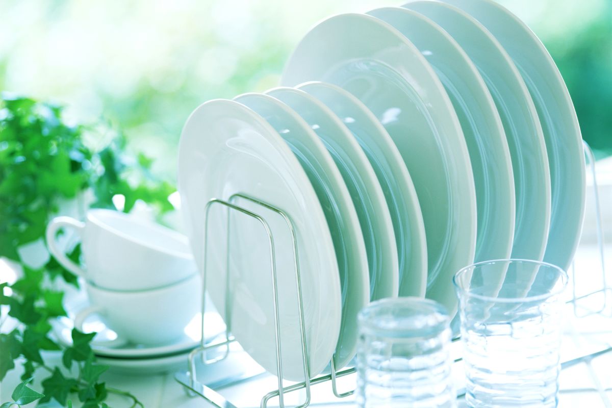 India Dishwashers Market