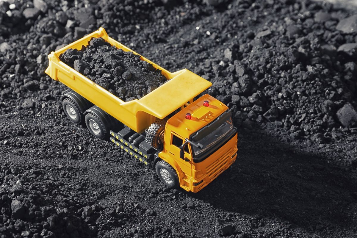 Petroleum Coke