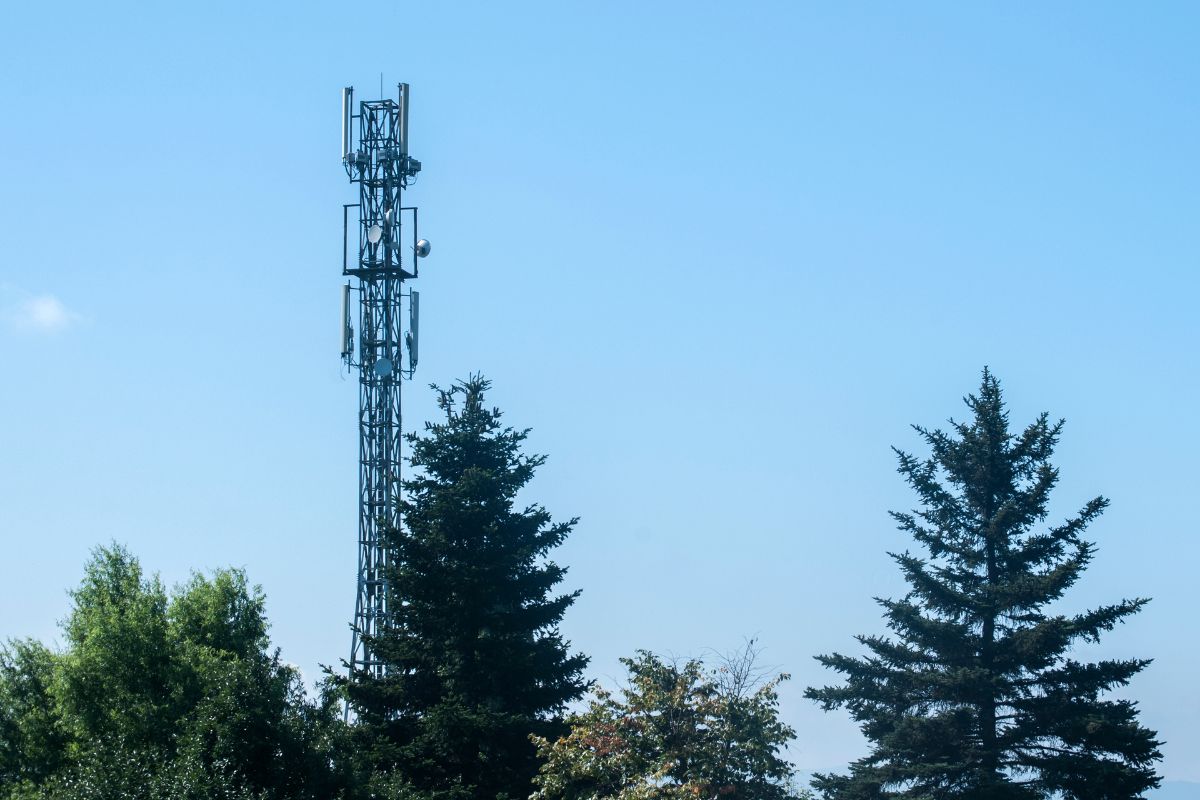 Sector Antenna