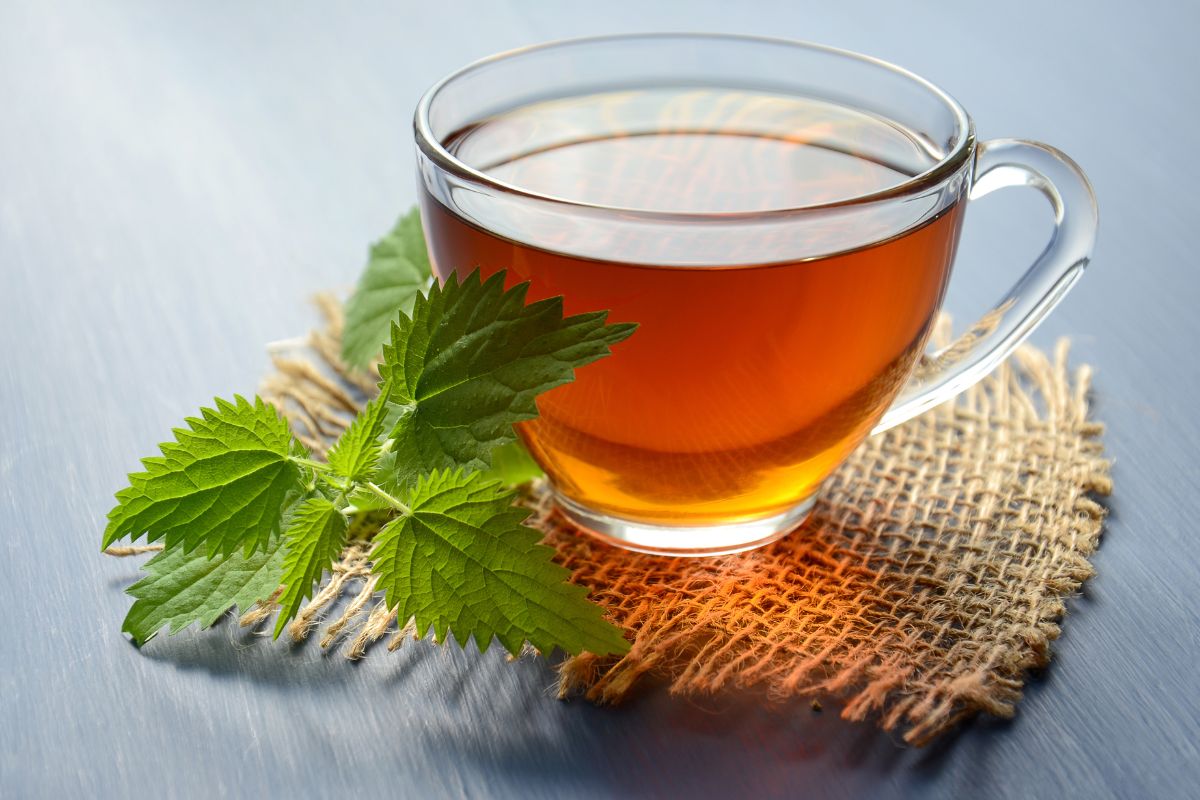 Tea Industry