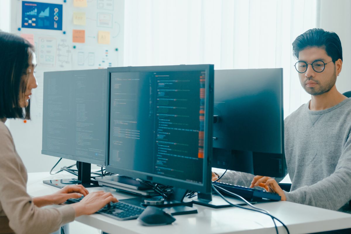 Software Training Institute