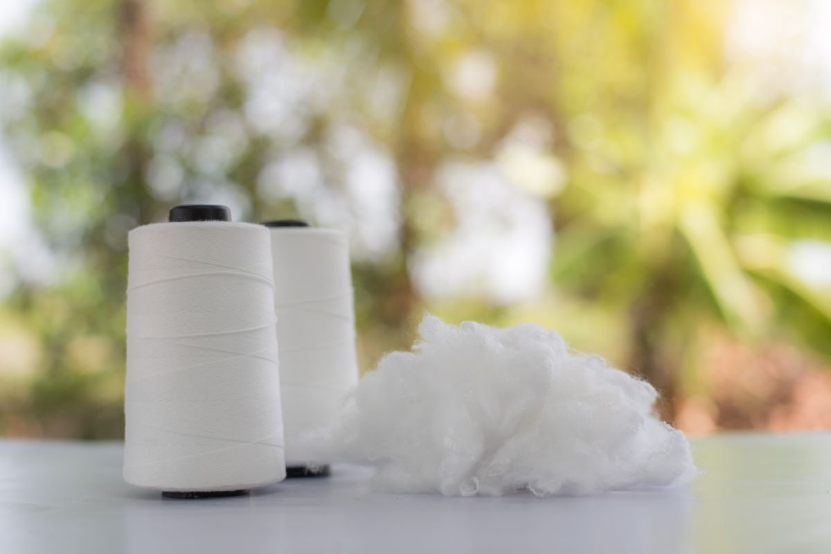 Polyester Staple Fiber Market