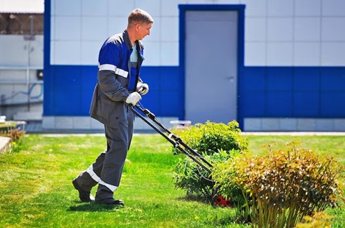 Garden Cleaning Services in Coventry