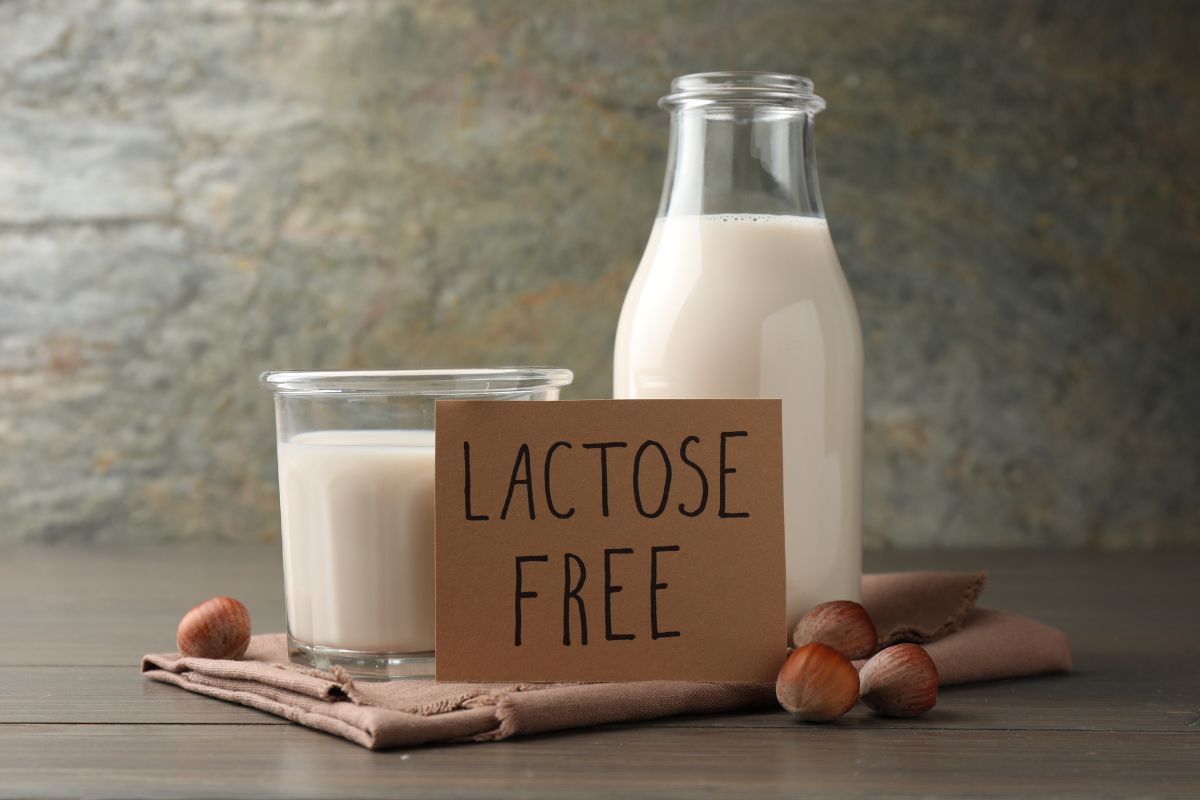 lactose-free dairy products