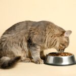 Pet Food Compliance