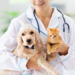 Vet and Tech