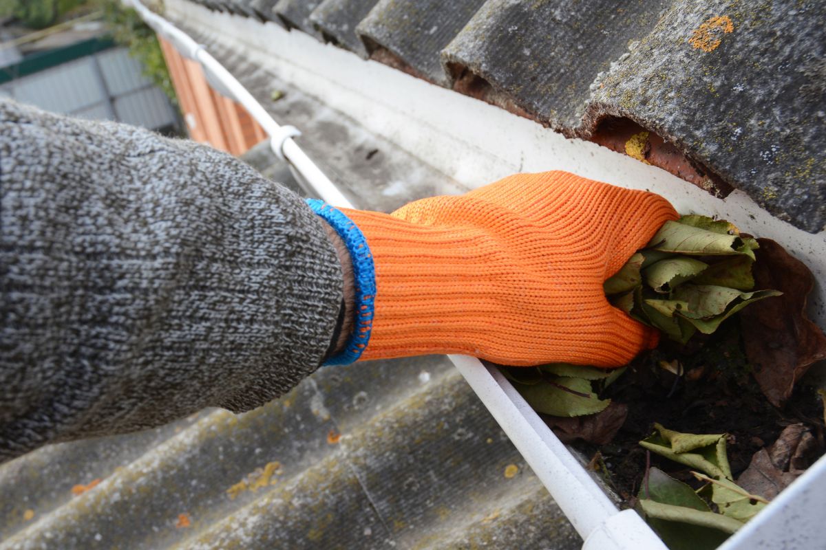 Gutter Protection