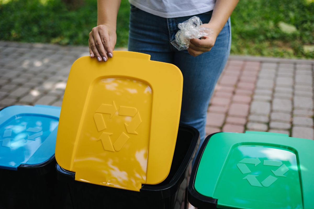 Skip Bins