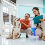 Veterinary