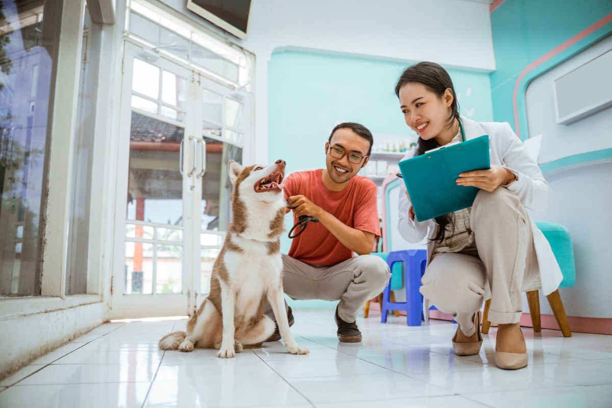 Veterinary