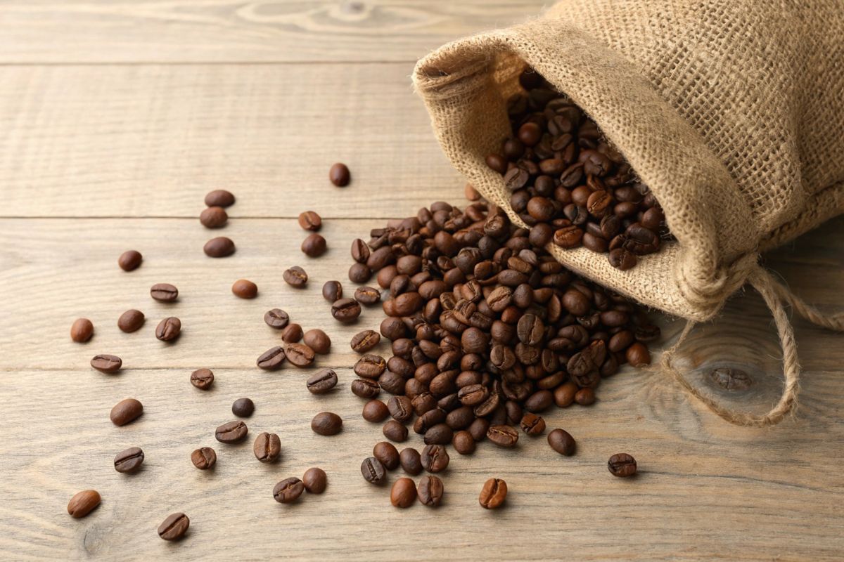 Wavelength Coffee Roasters