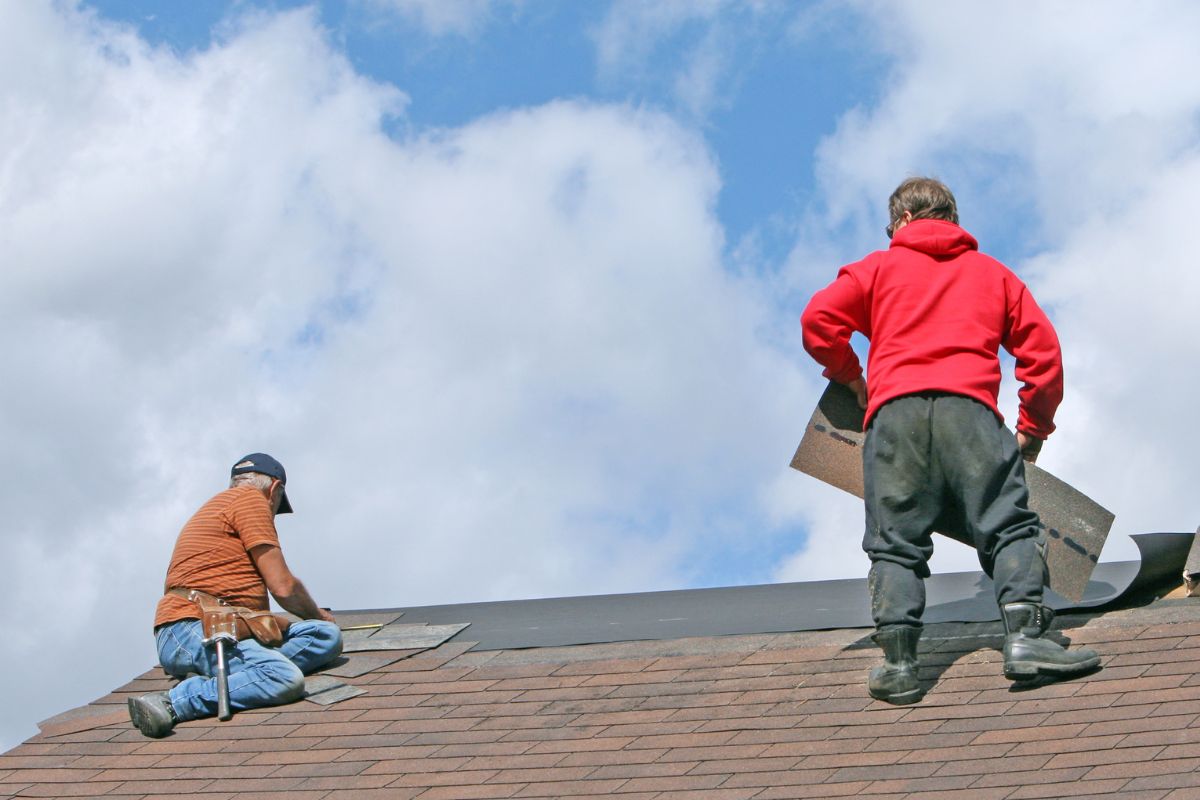 Roof Replacement