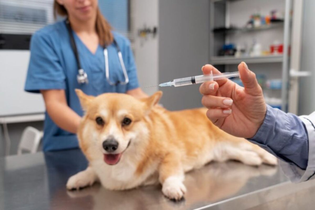 Vaccinations