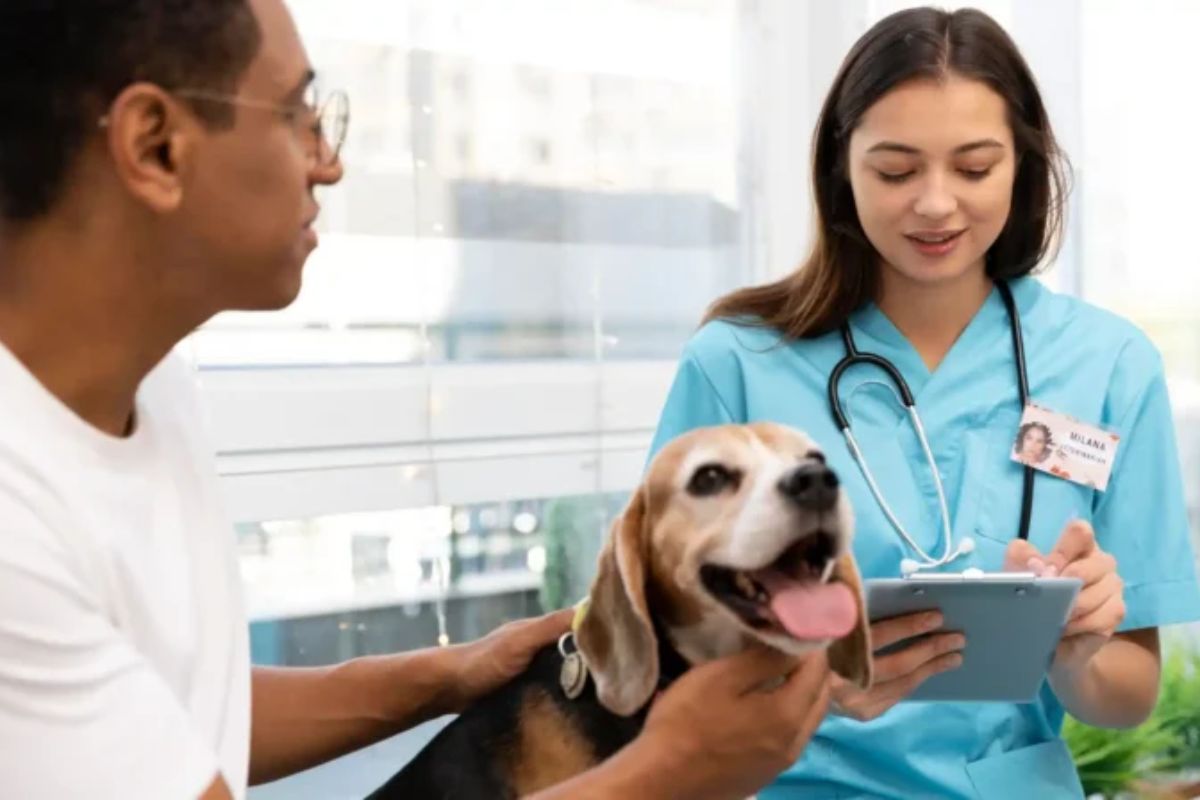 Vet and Tech