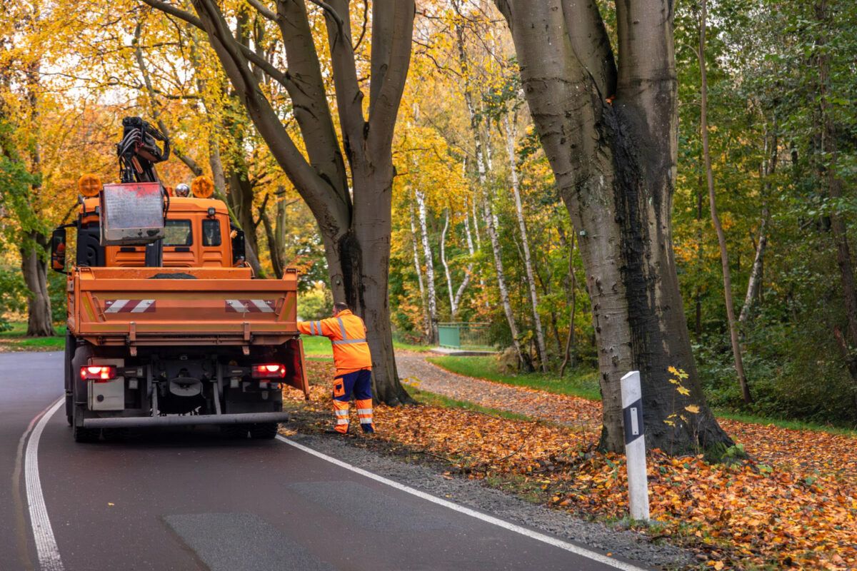 Waste Removal